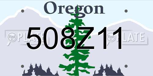 508Z11 Oregon License Plate