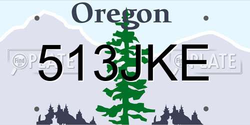 513JKE Oregon License Plate