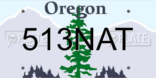 513NAT Oregon License Plate