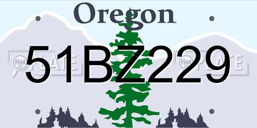 51BZ229 Oregon License Plate