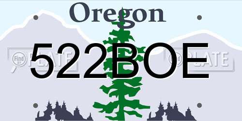 522BOE Oregon License Plate