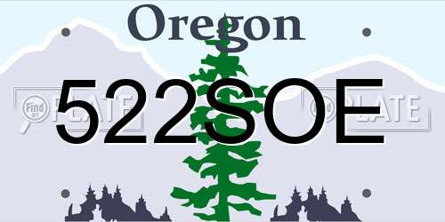 522SOE Oregon License Plate