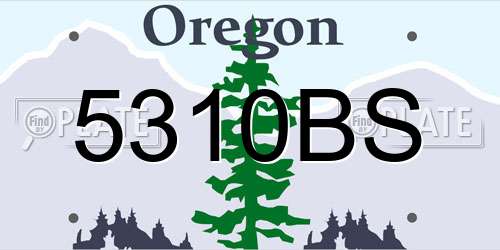 5310BS Oregon License Plate