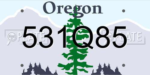 531Q85 Oregon License Plate
