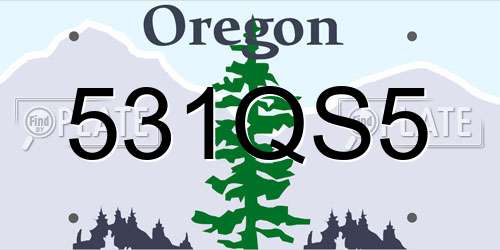 531QS5 Oregon License Plate