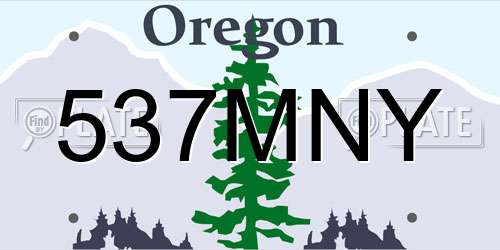 537MNY Oregon License Plate