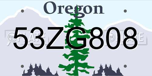 53ZG808 Oregon License Plate