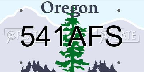 541AFS Oregon License Plate