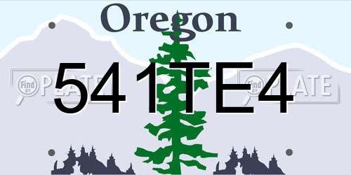 541TE4 Oregon License Plate