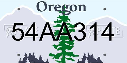 54AA314 Oregon License Plate
