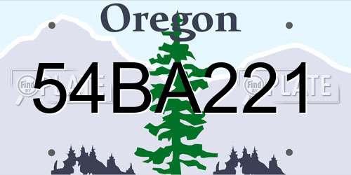 54BA221 Oregon License Plate
