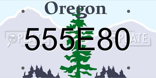 555E80 Oregon License Plate