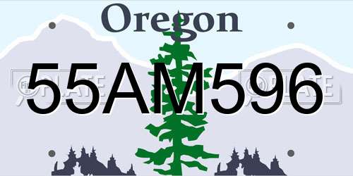 55AM596 Oregon License Plate