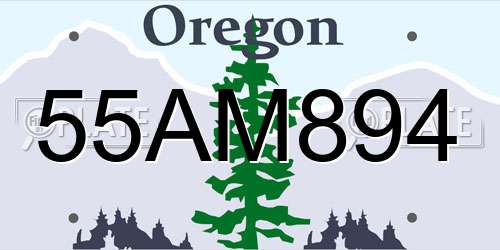 55AM894 Oregon License Plate