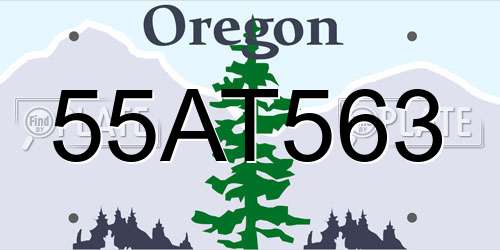 55AT563 Oregon License Plate