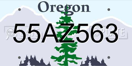 55AZ563 Oregon License Plate