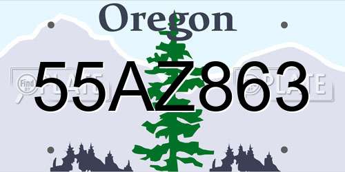 55AZ863 Oregon License Plate