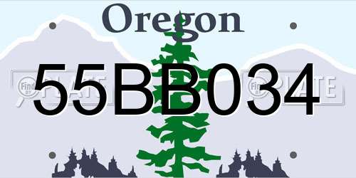 55BB034 Oregon License Plate