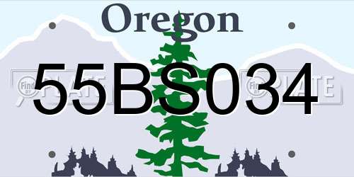 55BS034 Oregon License Plate