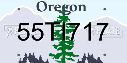 55TI717 Oregon License Plate