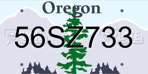 56SZ733 Oregon License Plate
