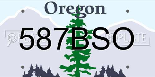 587BSO Oregon License Plate