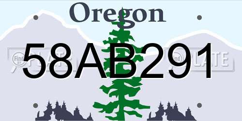 58AB291 Oregon License Plate