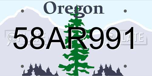 58AR991 Oregon License Plate