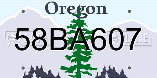 58BA607 Oregon License Plate
