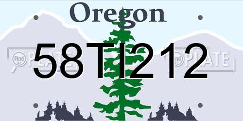 58TI212 Oregon License Plate