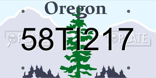 58TI217 Oregon License Plate