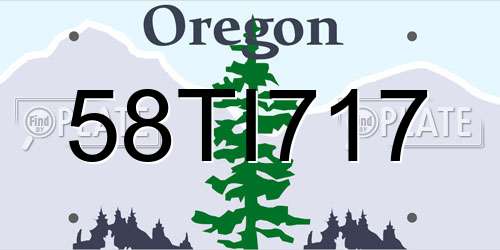 58TI717 Oregon License Plate