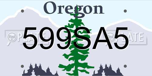 599SA5 Oregon License Plate