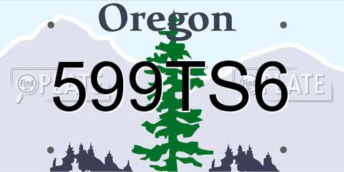 599TS6 Oregon License Plate