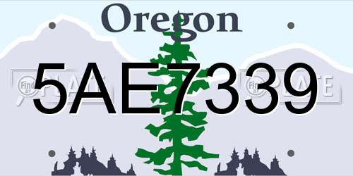 5AE7339 Oregon License Plate