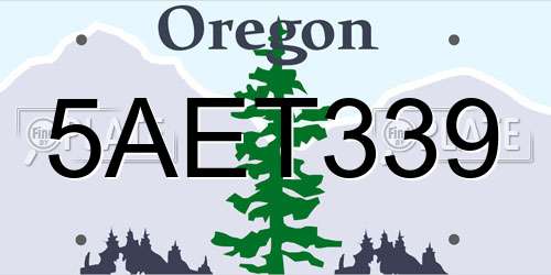 5AET339 Oregon License Plate