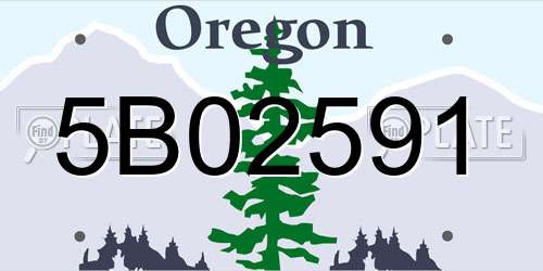5B02591 Oregon License Plate