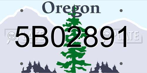 5B02891 Oregon License Plate