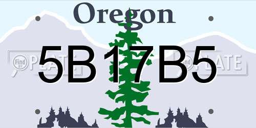 5B17B5 Oregon License Plate