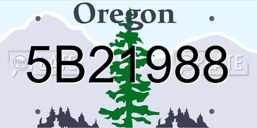 5B21988 Oregon License Plate