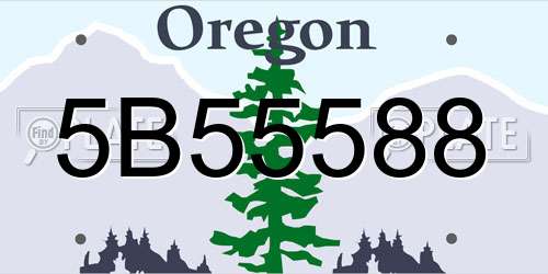 5B55588 Oregon License Plate