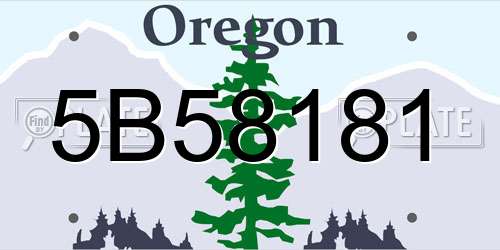 5B58181 Oregon License Plate