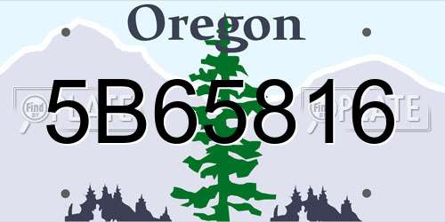 5B65816 Oregon License Plate