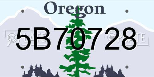 5B70728 Oregon License Plate