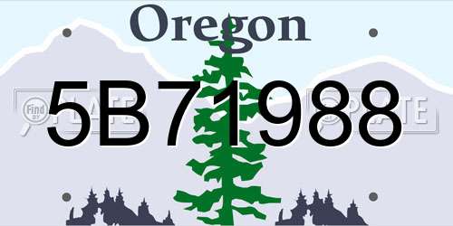 5B71988 Oregon License Plate