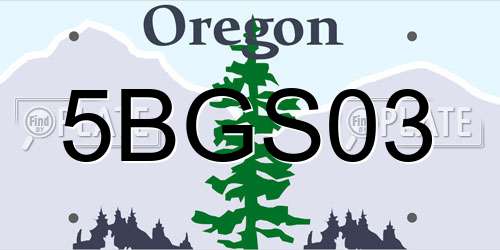 5BGS03 Oregon License Plate