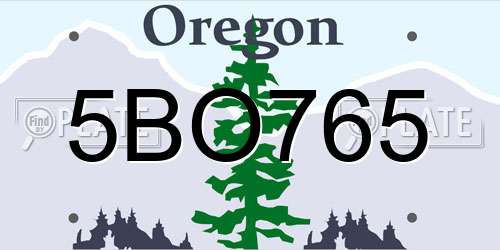 5BO765 Oregon License Plate