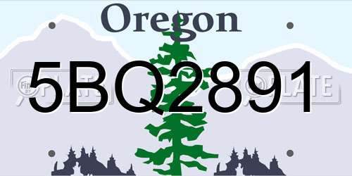 5BQ2891 Oregon License Plate