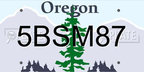 5BSM87 Oregon License Plate