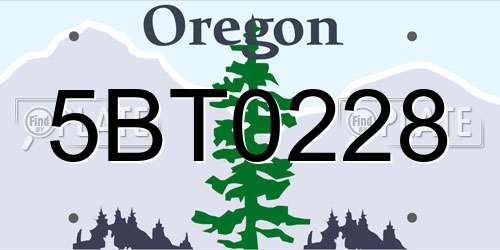 5BT0228 Oregon License Plate